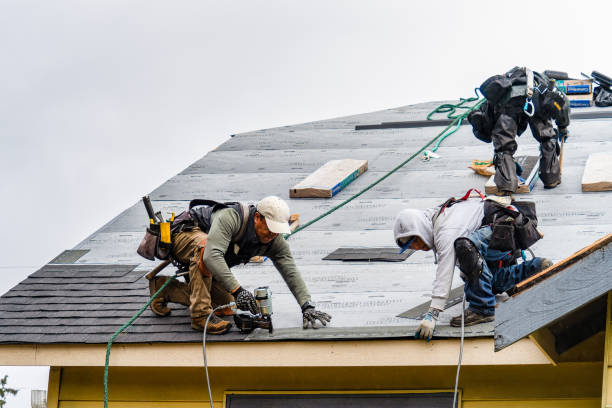 Professional Storm Damage Roof Repair technician working in Harmony, NC